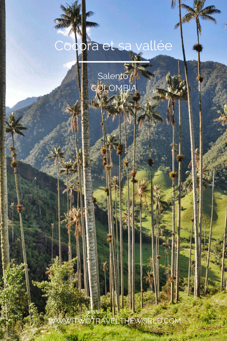 Two Travel The World - Valle de Cocora (Cocora Valley)