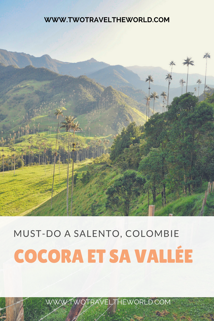 Two Travel The World - Valle de Cocora (Cocora Valley)