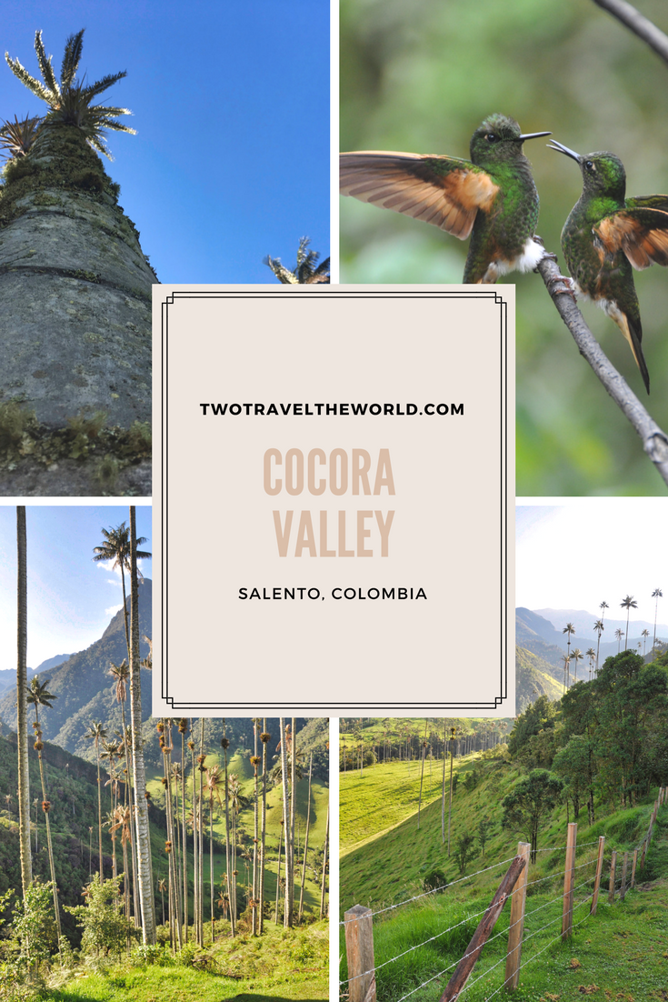 Two Travel The World - Valle de Cocora (Cocora Valley)