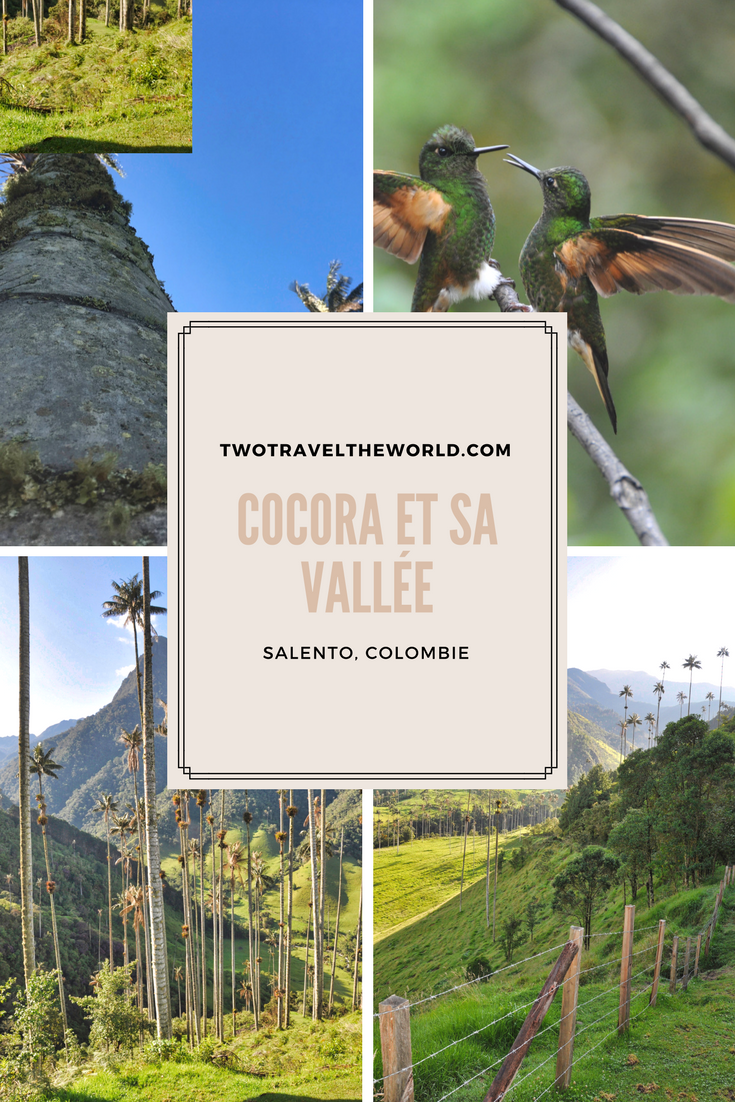 Two Travel The World - Valle de Cocora (Cocora Valley)