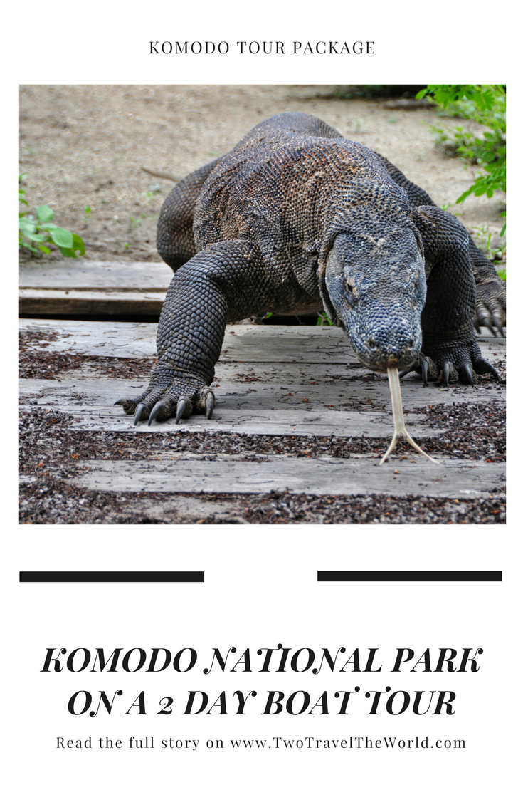 Two Travel The World - Komodo Tour Package: Komodo National Park on a 2 day boat tour.