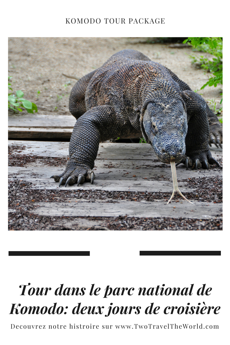 Two Travel The World - Komodo Tour Package: Komodo National Park on a 2 day boat tour.