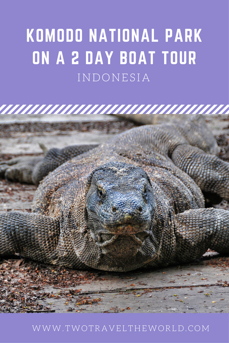 Two Travel The World - Komodo Tour Package: Komodo National Park on a 2 day boat tour.