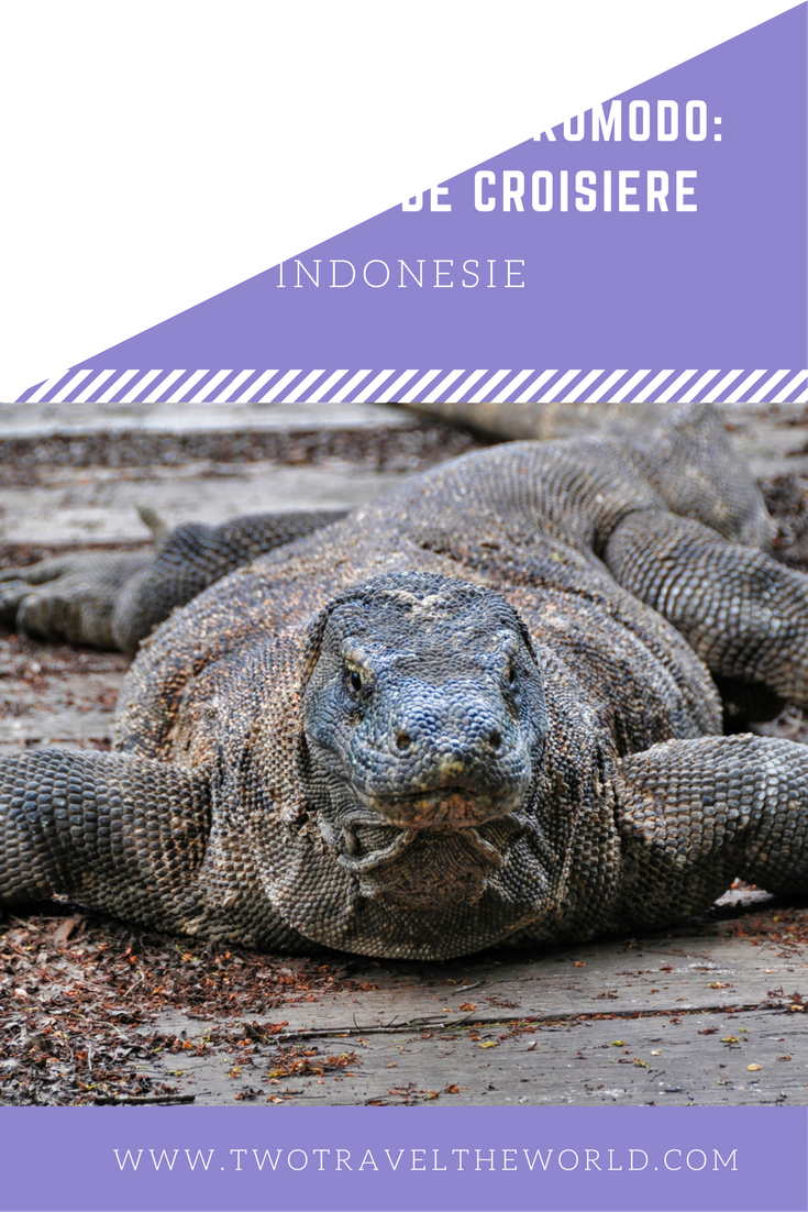 Two Travel The World - Komodo Tour Package: Komodo National Park on a 2 day boat tour.