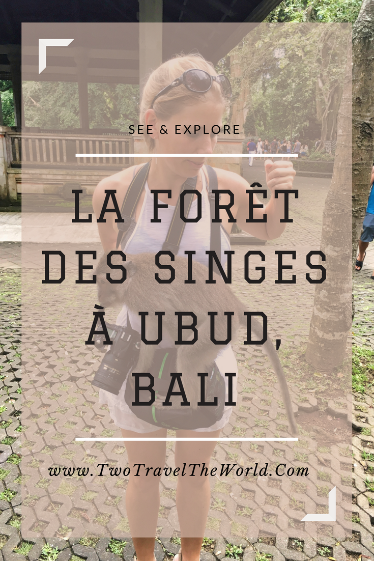 Two Travel The World - La forêt des singes à Ubud, Bali