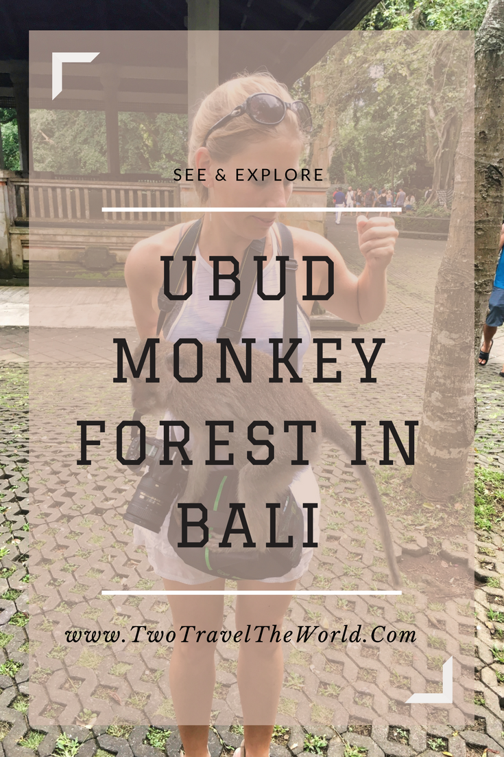 Two Travel The World - Ubud Monkey Forest in Bali