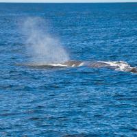 twotraveltheworld-Kaikoura