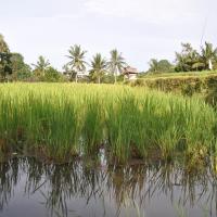 twotraveltheworld-campuhanridge