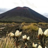 twotraveltheworld-Tongariro