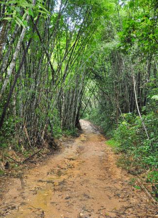 Two Travel The World - Khao Sok National Park Tours