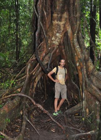 Two Travel The World - Mossman Gorge Walk