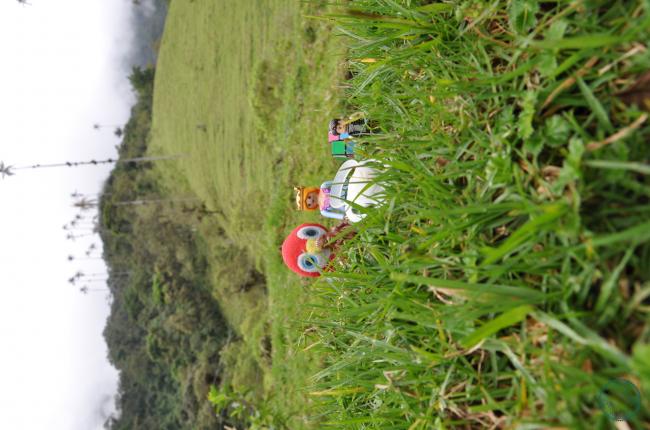 twotraveltheworld-Cocora Valley