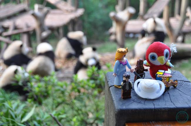 Two Travel The World - Chengdu Research Base of Giant Panda Breeding